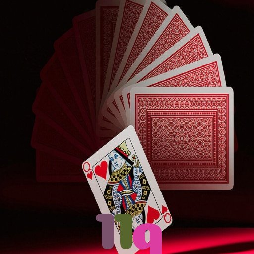  11q