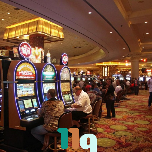  11q