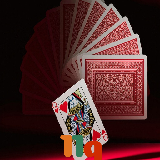  11q