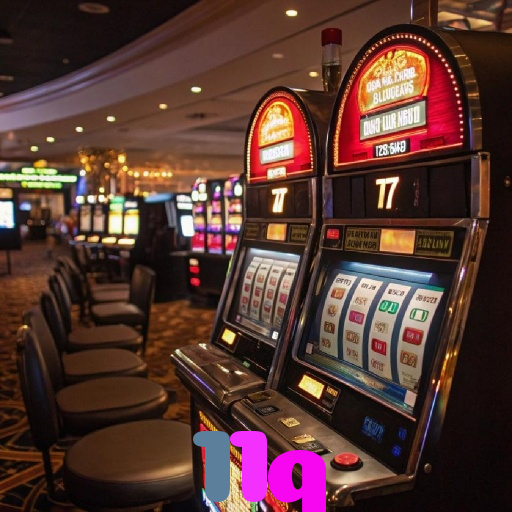  11q