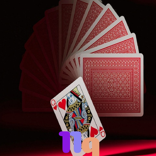  11q