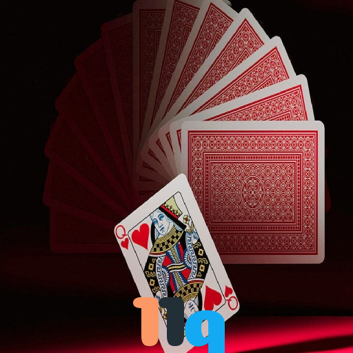  11q