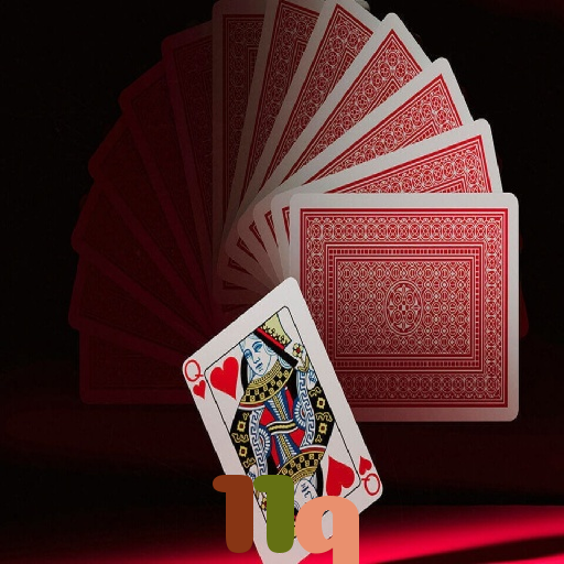  11q