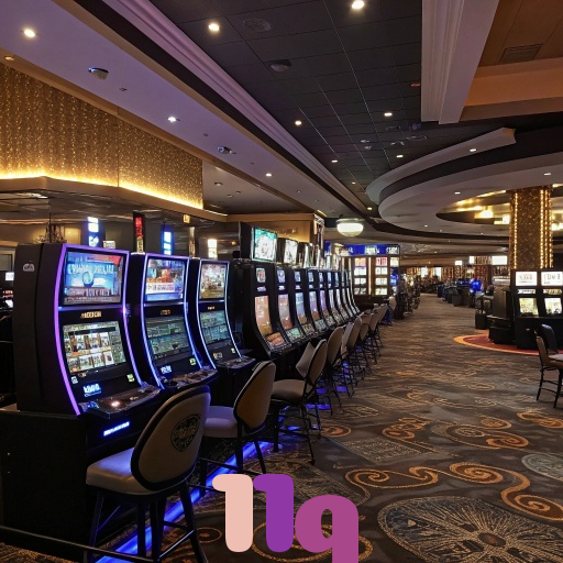  11q