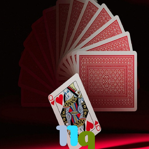 11q