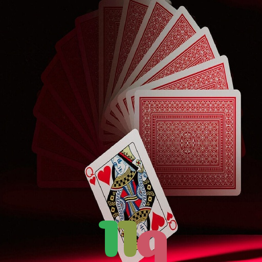  11q